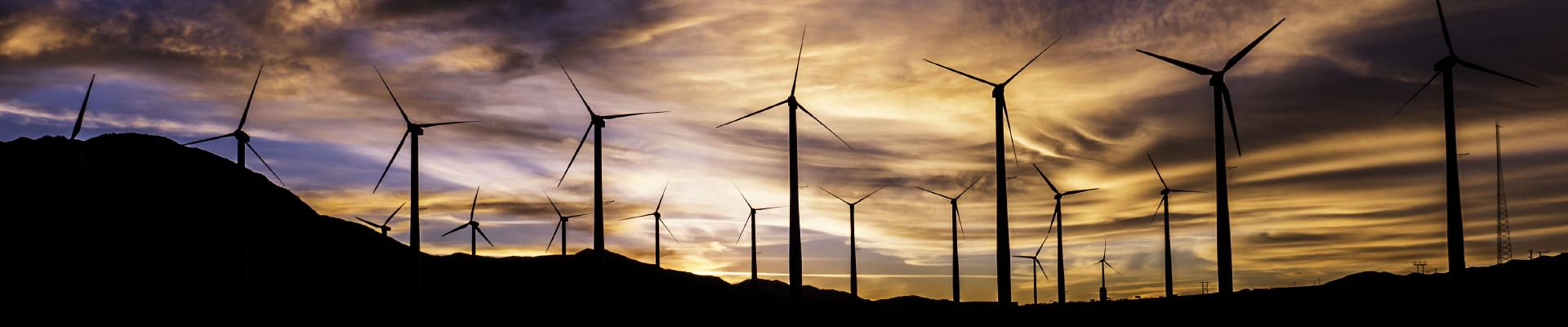 Bitcoin Basics: How to Buy Bitcoins